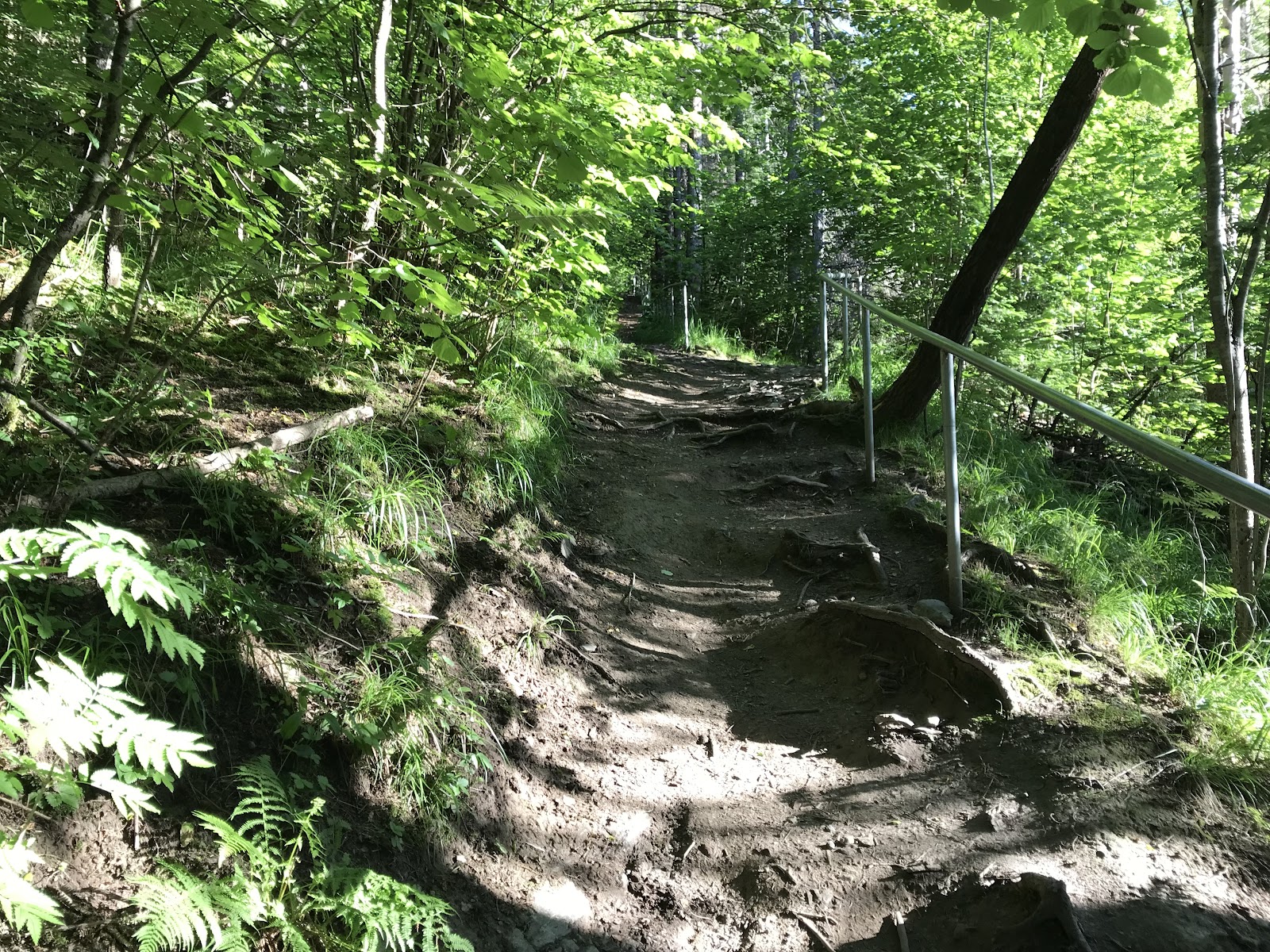 Lysakerelva tursti – Utendørs, Oslo