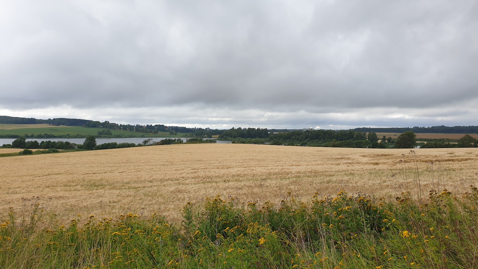 Østensjøvannet Nature Reserve – Outdoors, Oslo