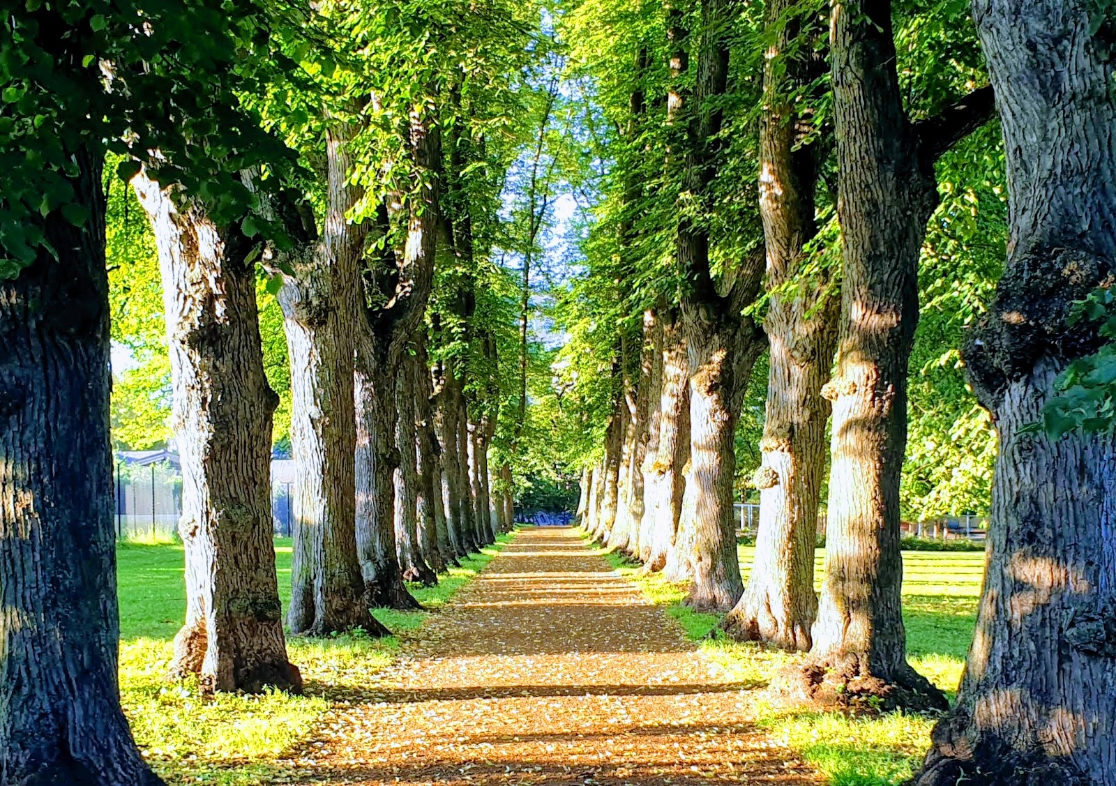 Picnic in Bjølsenparken – Outdoors, Oslo