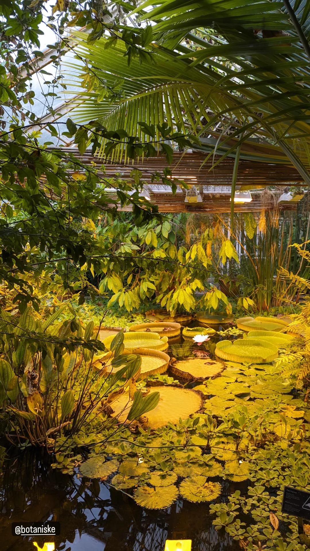 Botanisk hage – Outdoors, Oslo